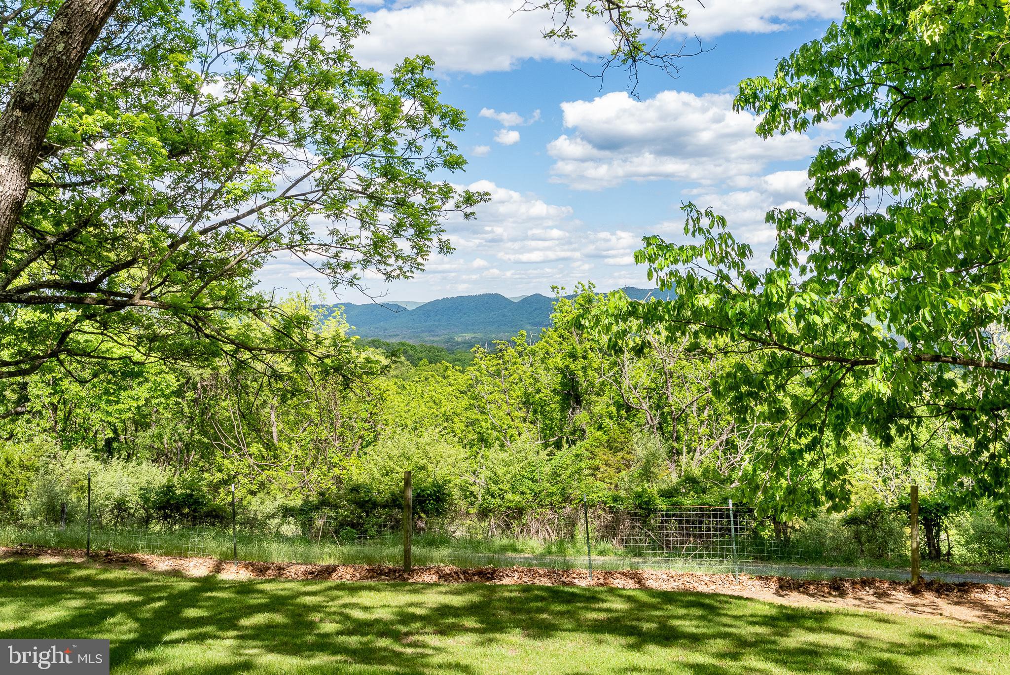 2598 Mountain View Road Purgitsville, WV 26852 - Photo 5 of 89