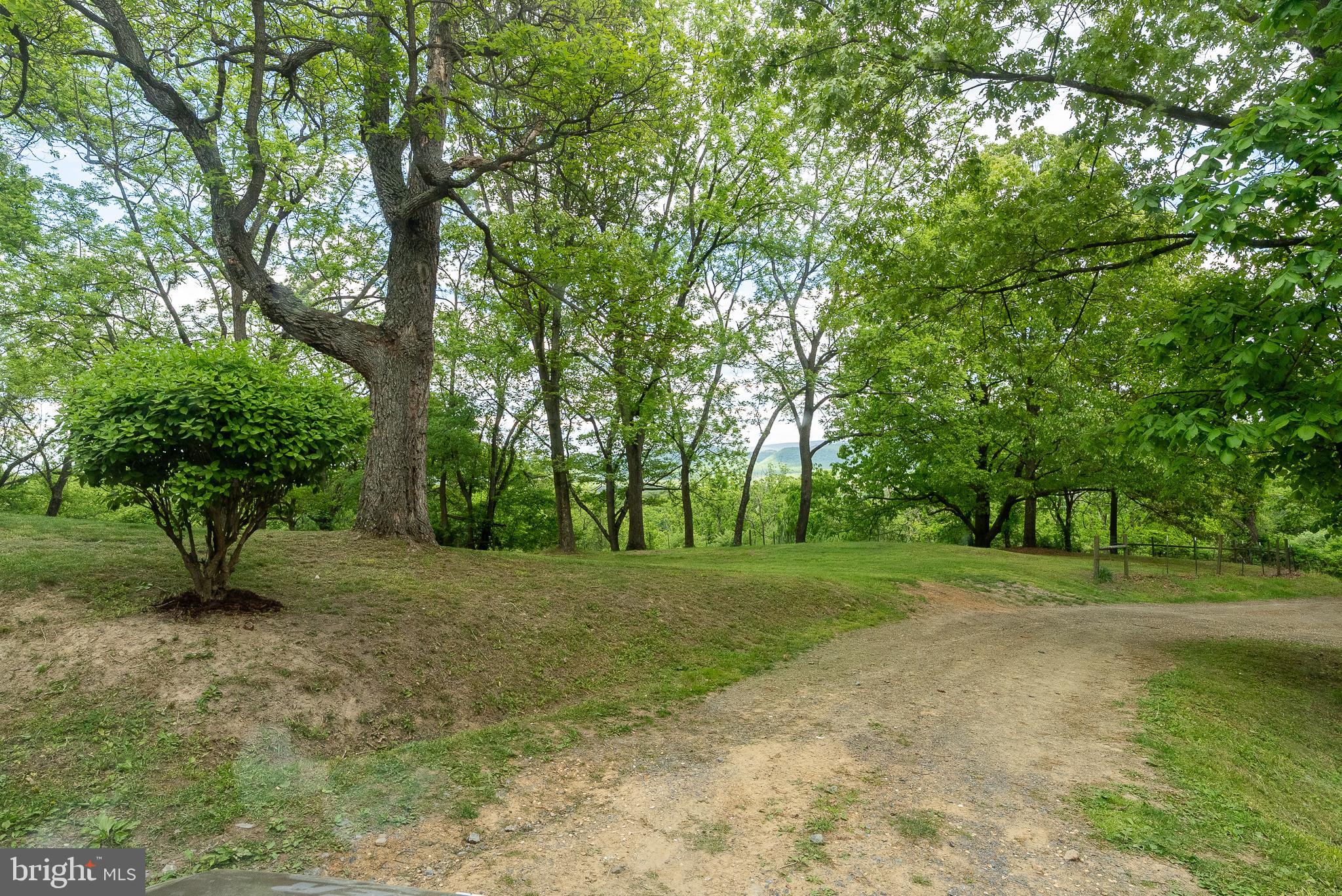2598 Mountain View Road Purgitsville, WV 26852 - Photo 6 of 89