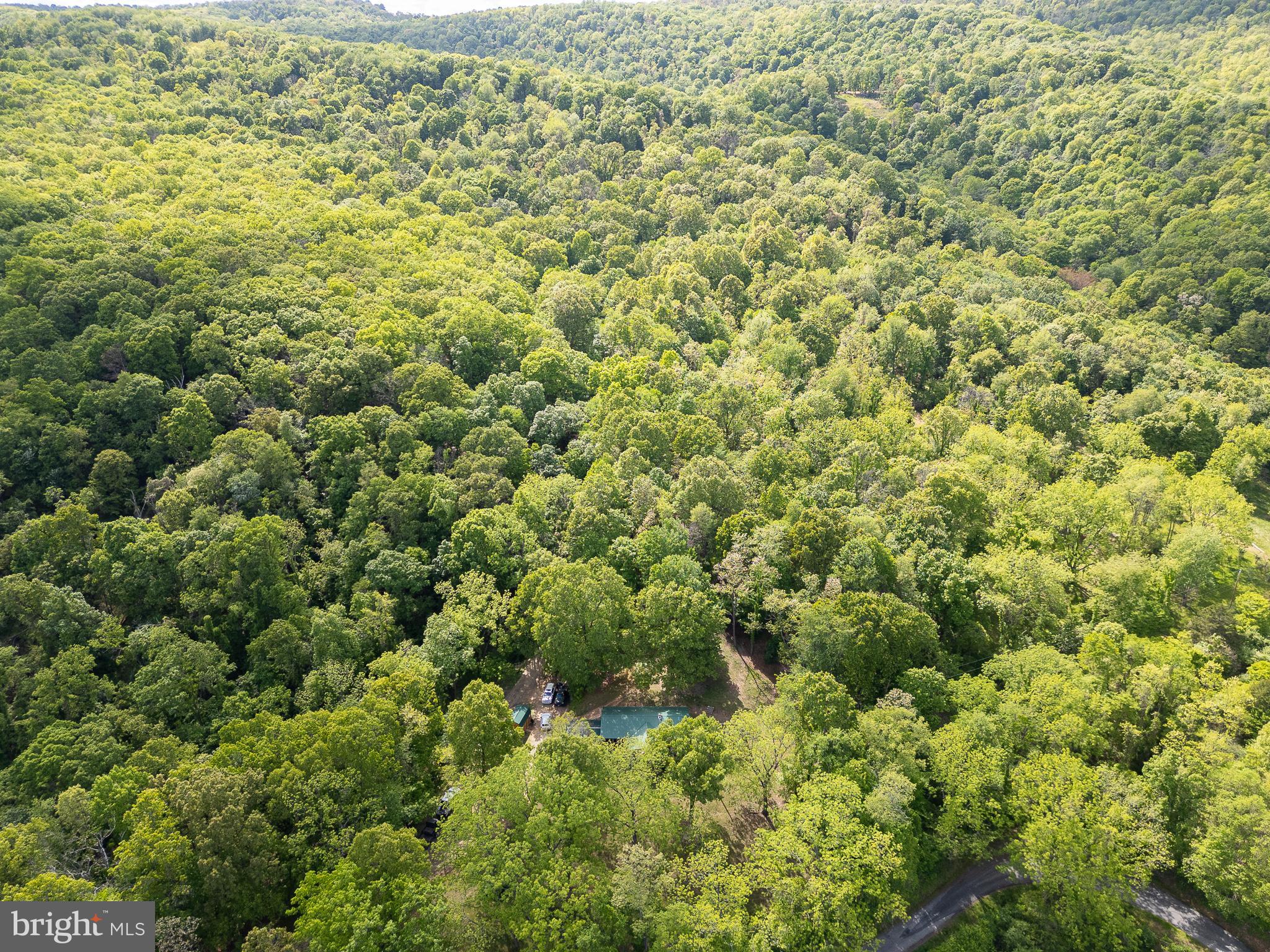 2598 Mountain View Road Purgitsville, WV 26852 - Photo 63 of 89