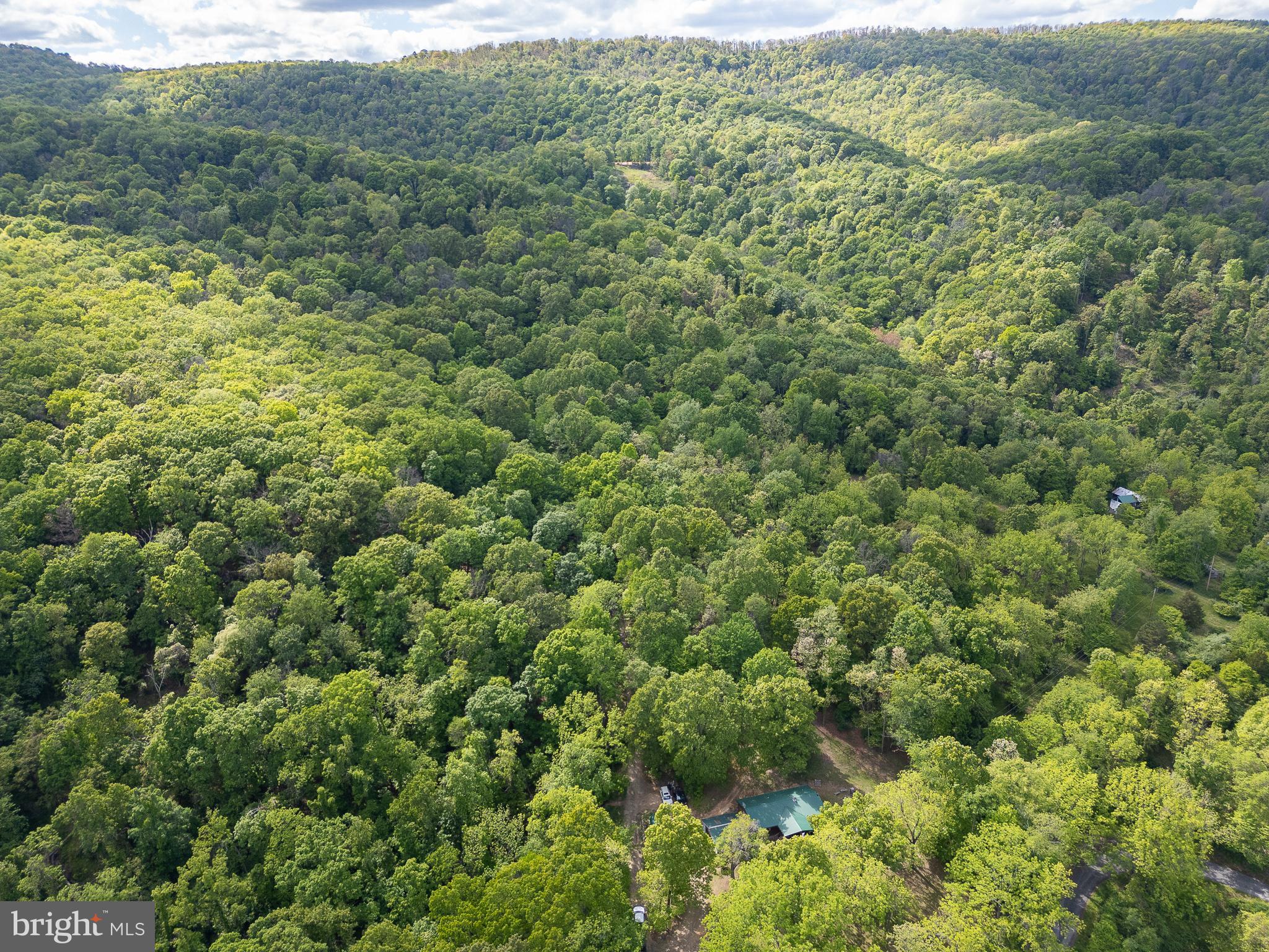 2598 Mountain View Road Purgitsville, WV 26852 - Photo 64 of 89