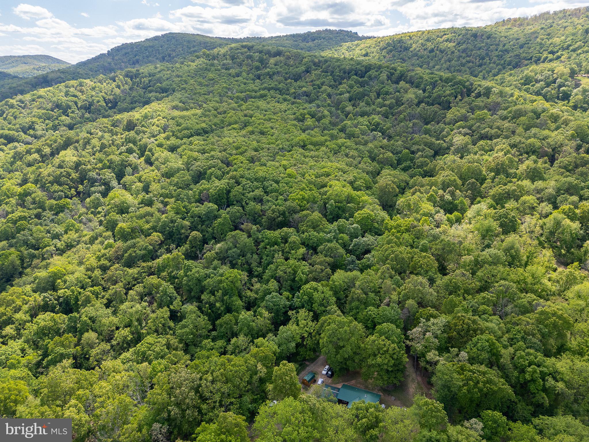 2598 Mountain View Road Purgitsville, WV 26852 - Photo 65 of 89
