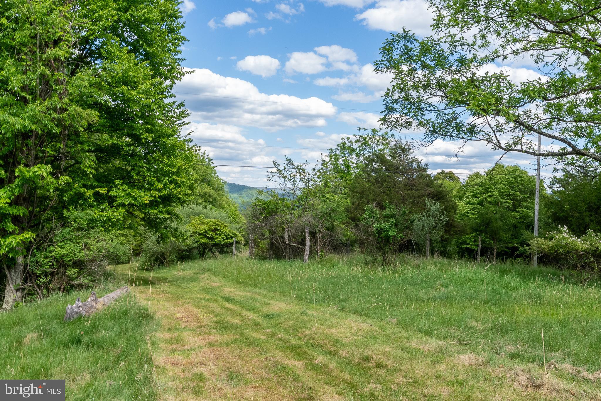 2598 Mountain View Road Purgitsville, WV 26852 - Photo 67 of 89