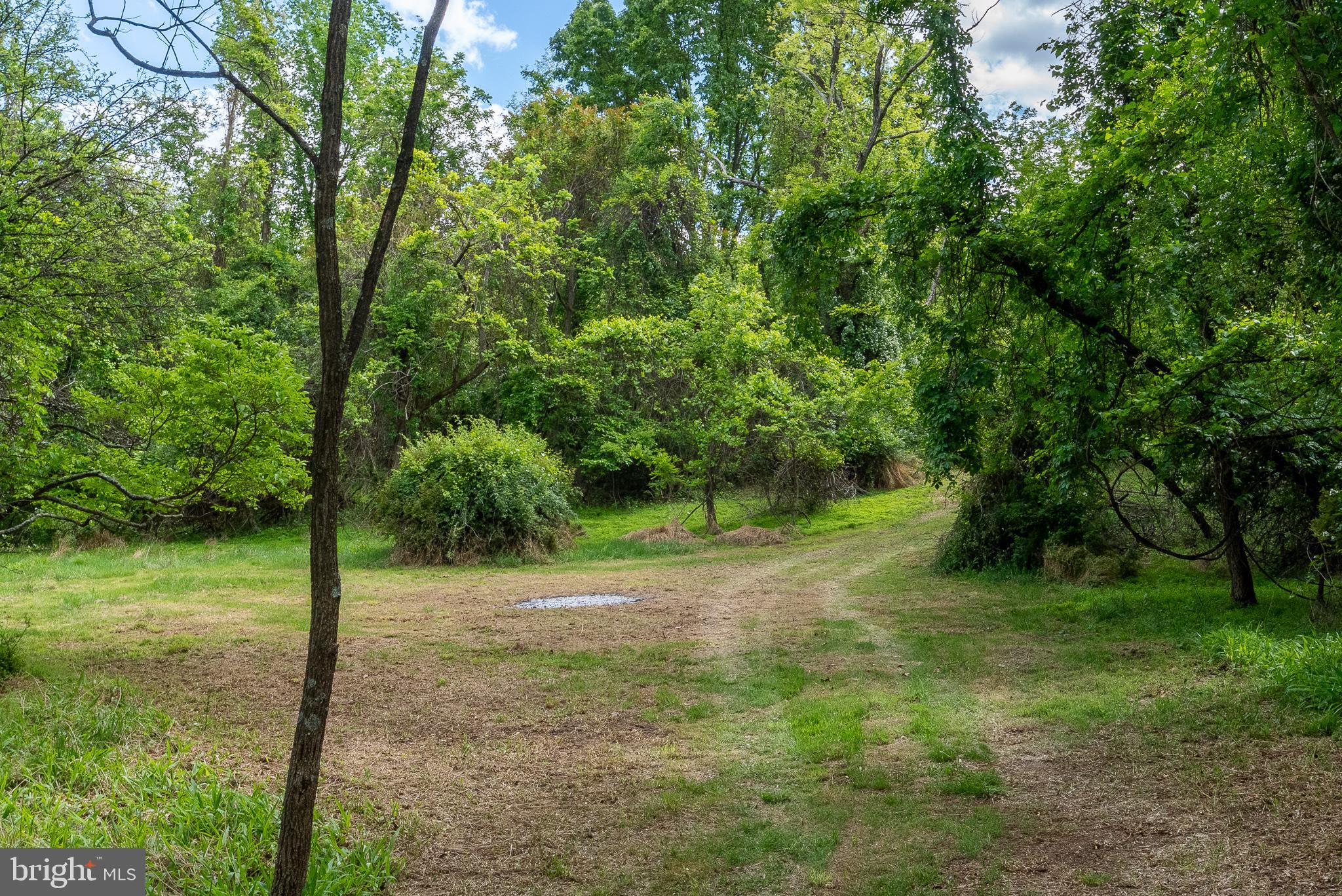 2598 Mountain View Road Purgitsville, WV 26852 - Photo 68 of 89