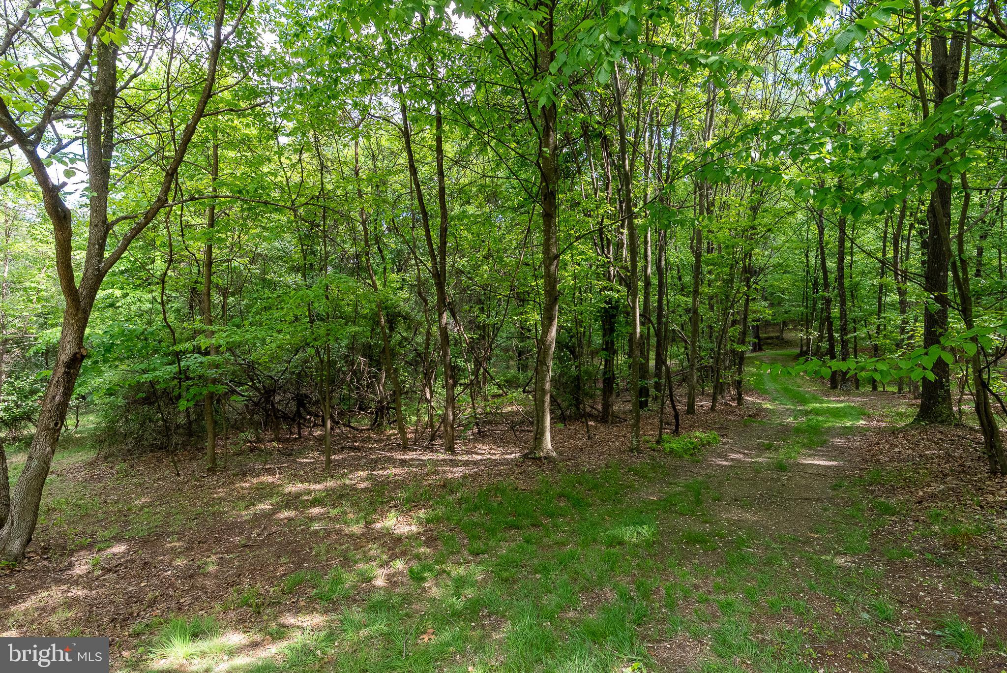 2598 Mountain View Road Purgitsville, WV 26852 - Photo 73 of 89