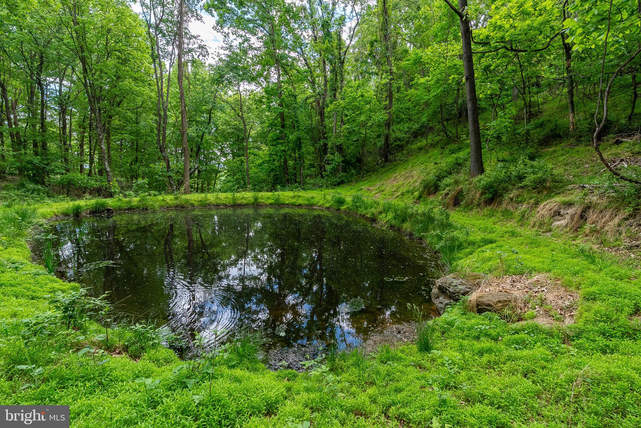 2598 Mountain View Road Purgitsville, WV 26852 - Photo 85 of 89