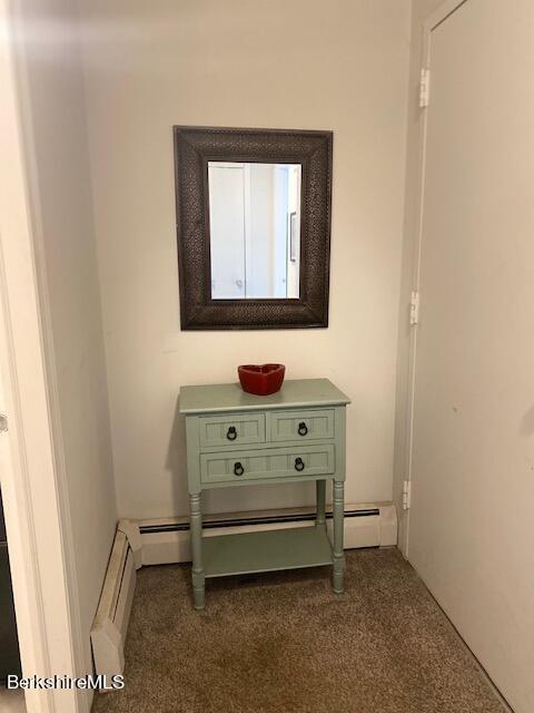 260 Pittsfield Road, Unit C5 Lenox, MA 01240 - Photo 4 of 29 Foyer