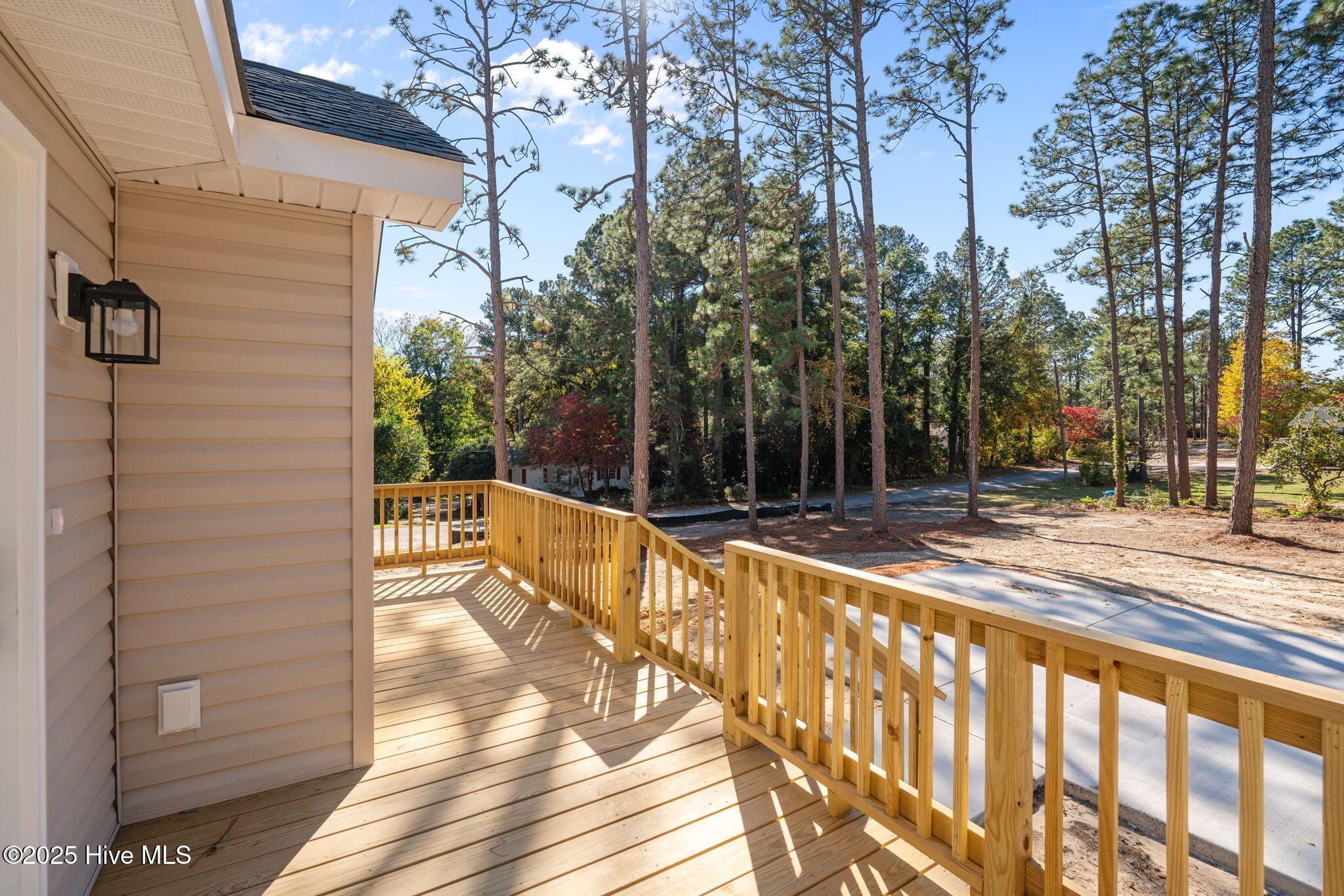 215 Beech Street Hamlet, NC 28345 - Photo 30 of 47 38-web-or-mls-DSC01177