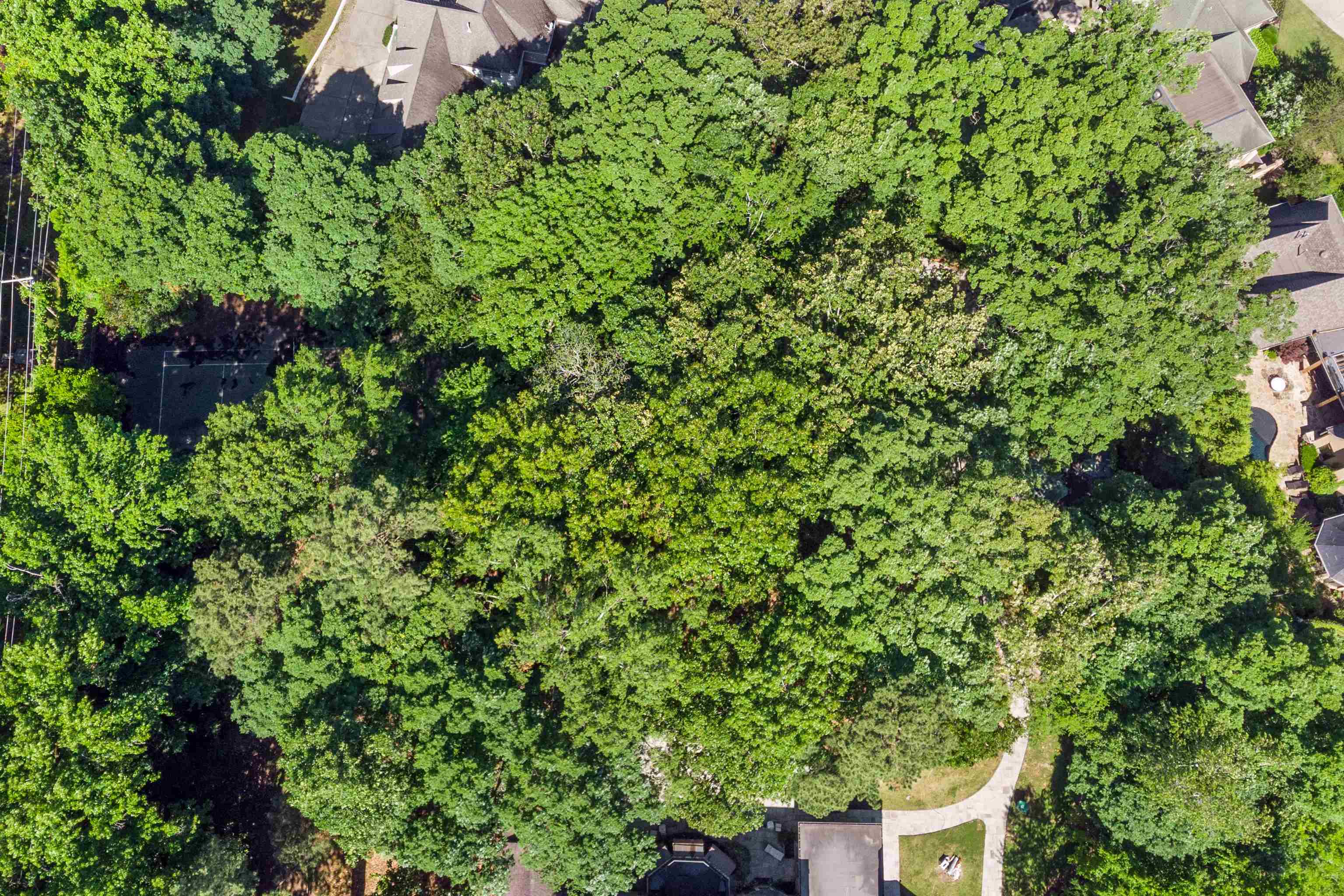 615 South Shady Grove Road Memphis, TN 38120 - Photo 4 of 11 Gallery Image 4