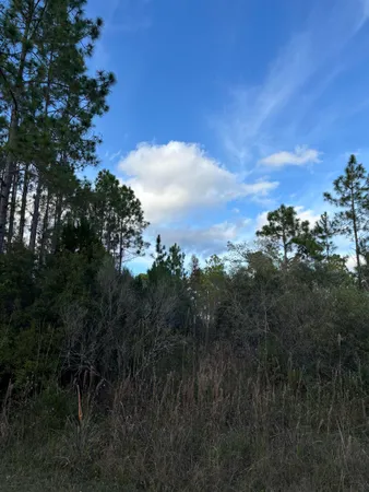 $340,000 | 727 Mill Road, Carrabelle, FL 32322