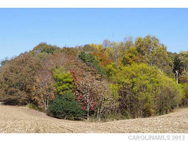 Land Coyle Road Stanfield, NC 28163 - Photo 10 of 16 Gallery Image 10