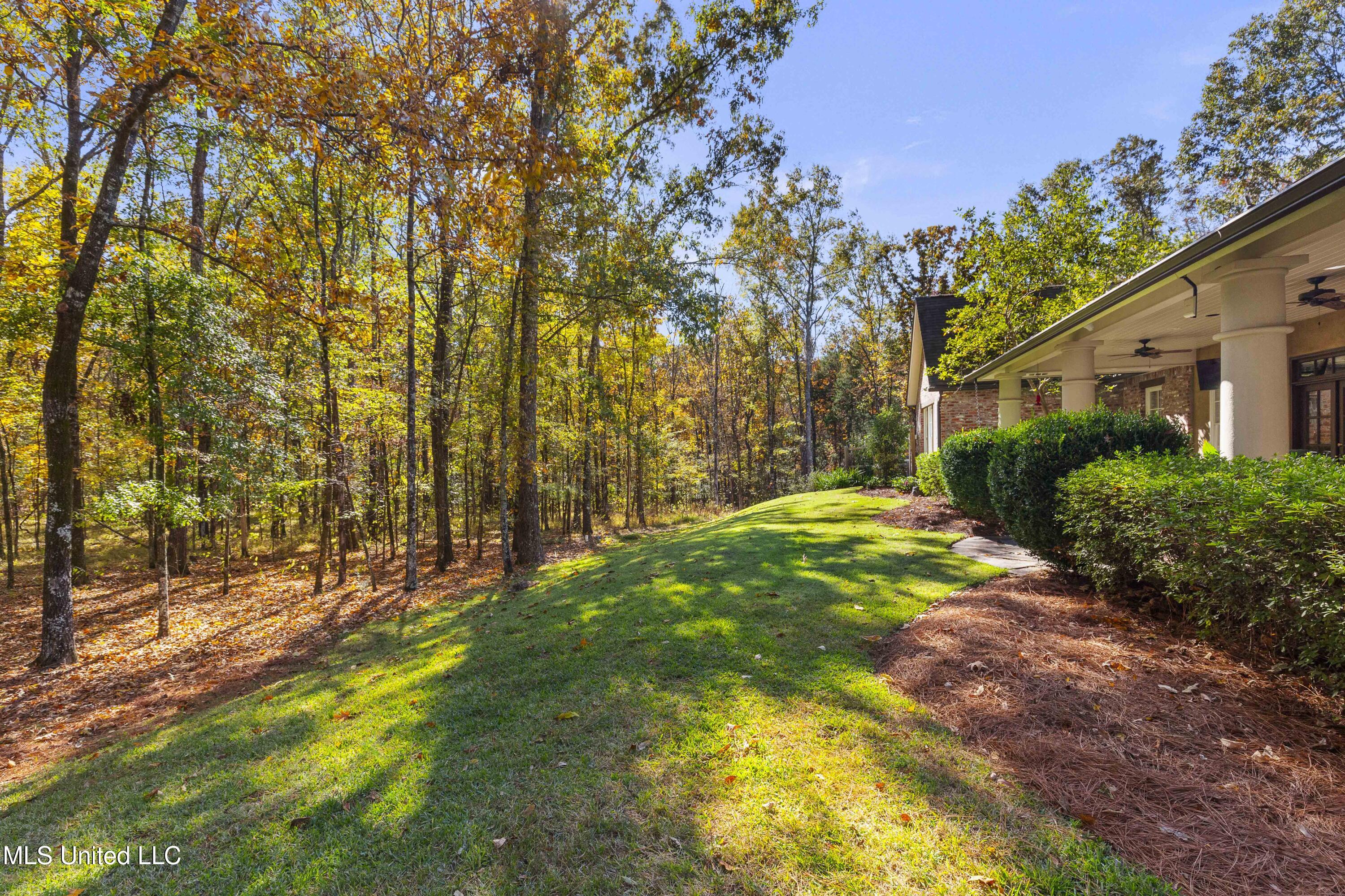 1 Laws Crossing Madison, MS 39110 - Photo 88 of 121 1 Laws Xing-88