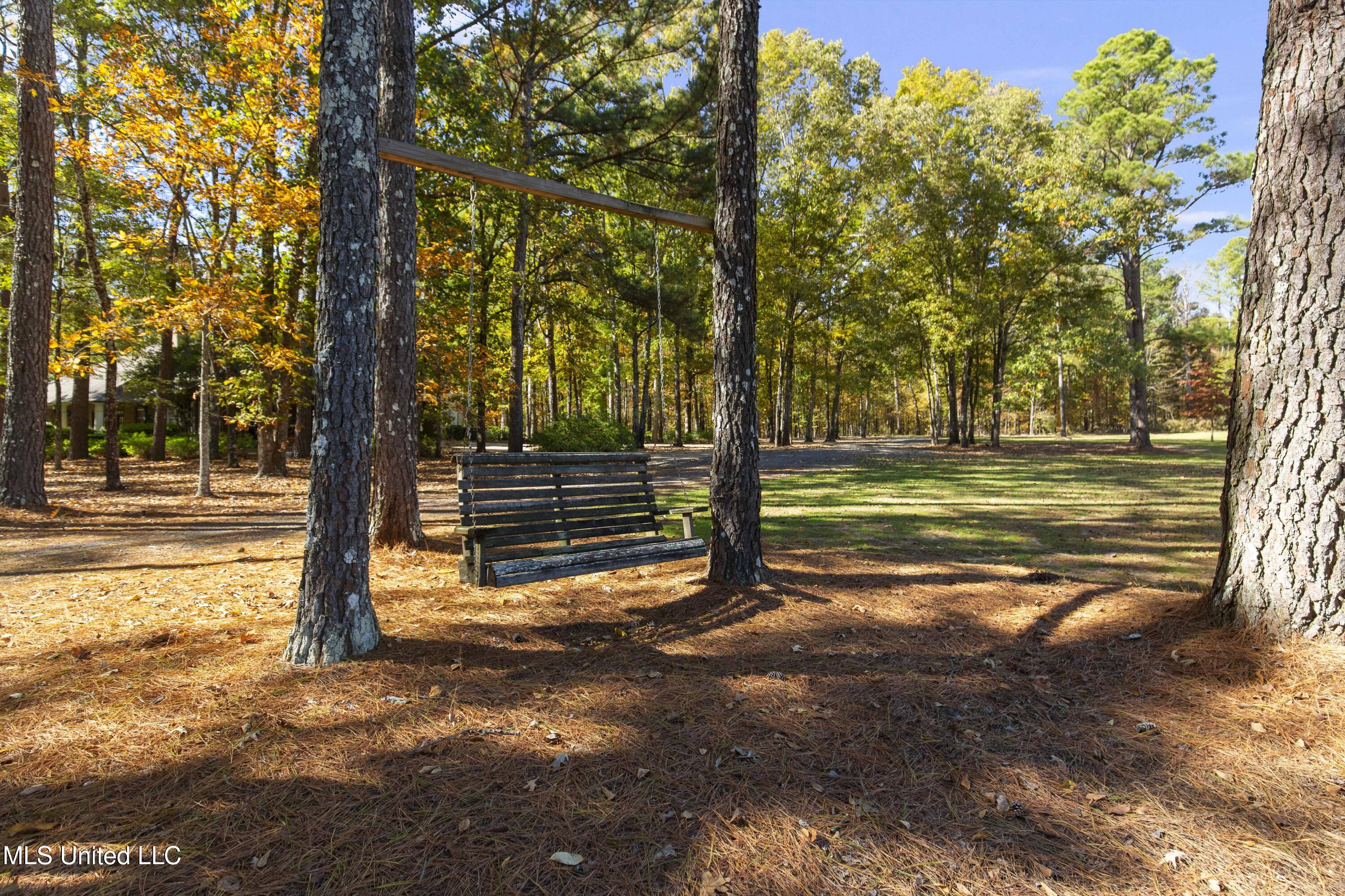 1 Laws Crossing Madison, MS 39110 - Photo 93 of 121 1 Laws Xing-93