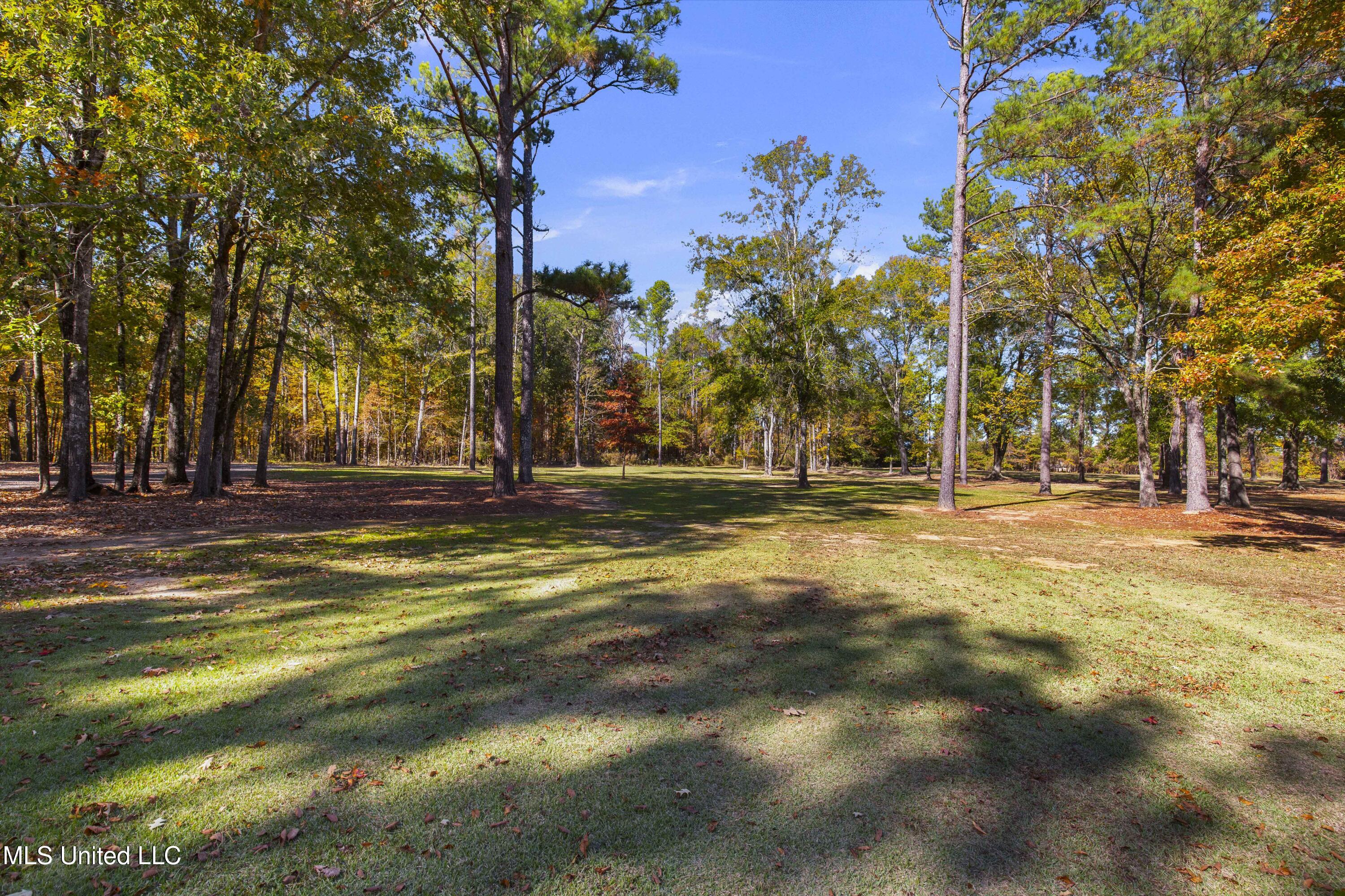 1 Laws Crossing Madison, MS 39110 - Photo 98 of 121 1 Laws Xing-98