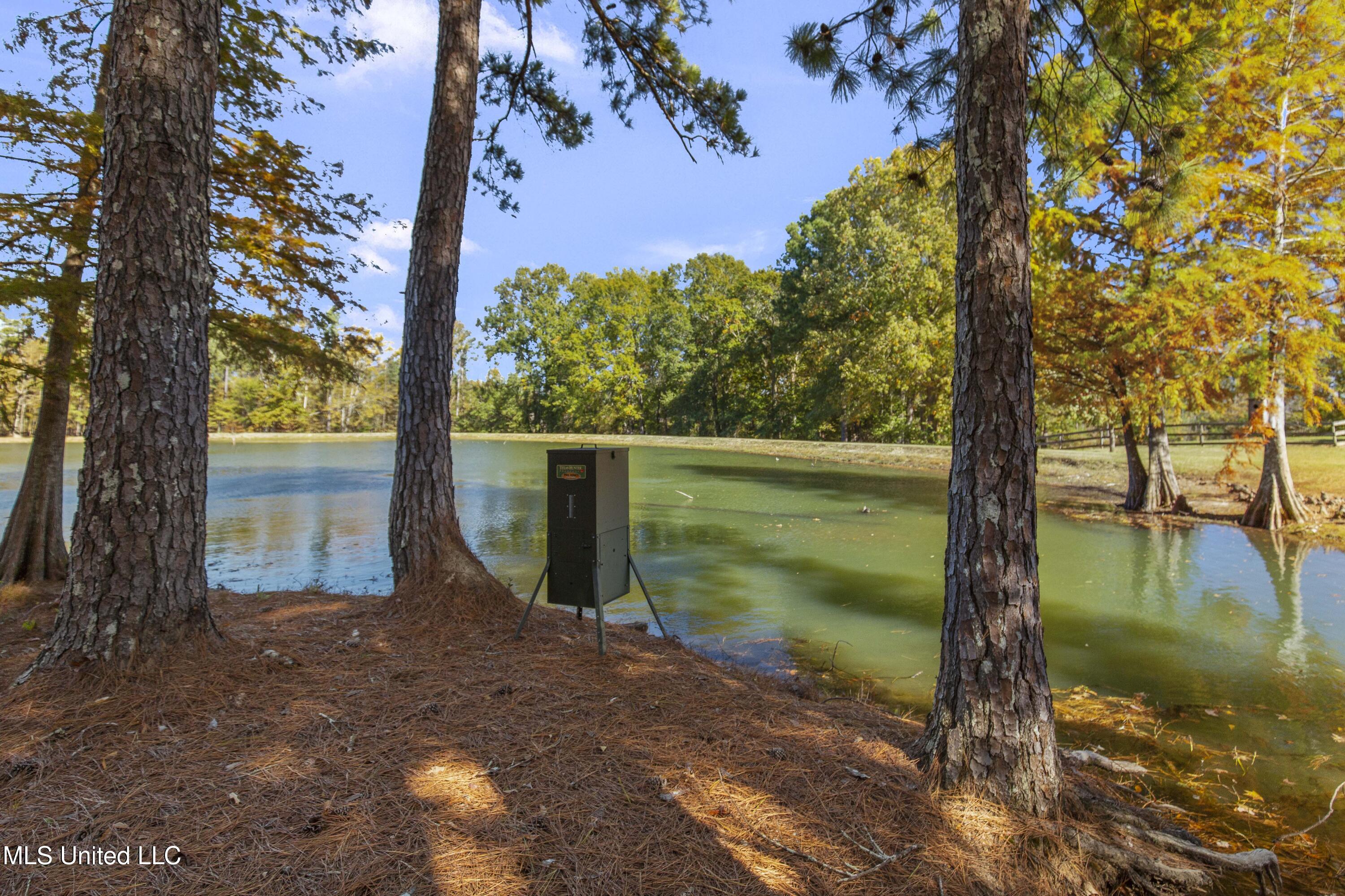 1 Laws Crossing Madison, MS 39110 - Photo 100 of 121 1 Laws Xing-100