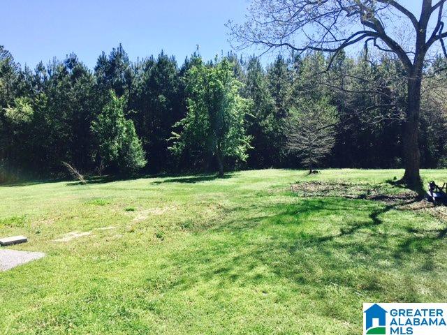 694 Porter Johnson Road Piedmont, AL 36272 - Photo 14 of 16