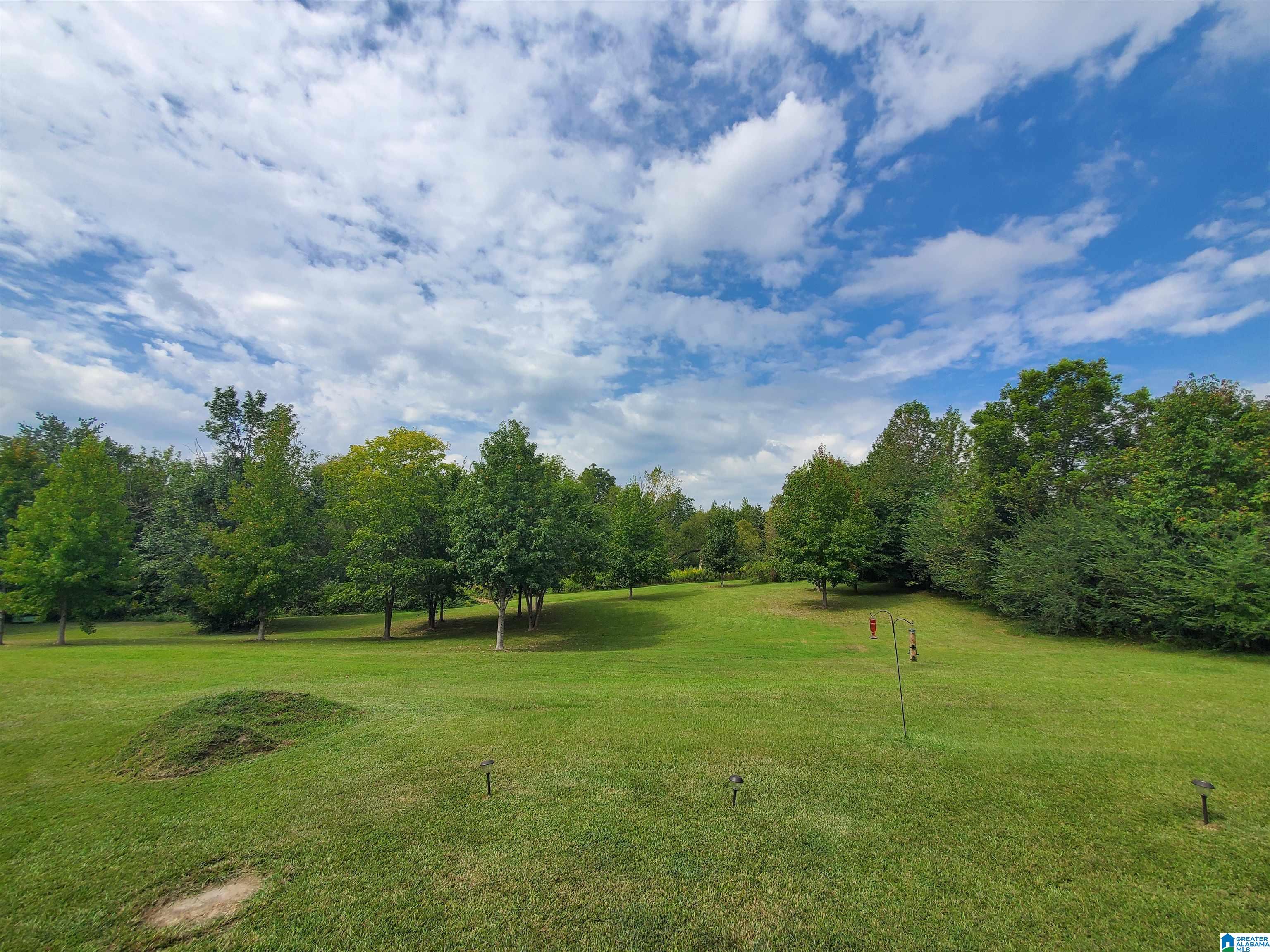 622 Rocky Hollow Road Jacksonville, AL 36265 - Photo 8 of 40