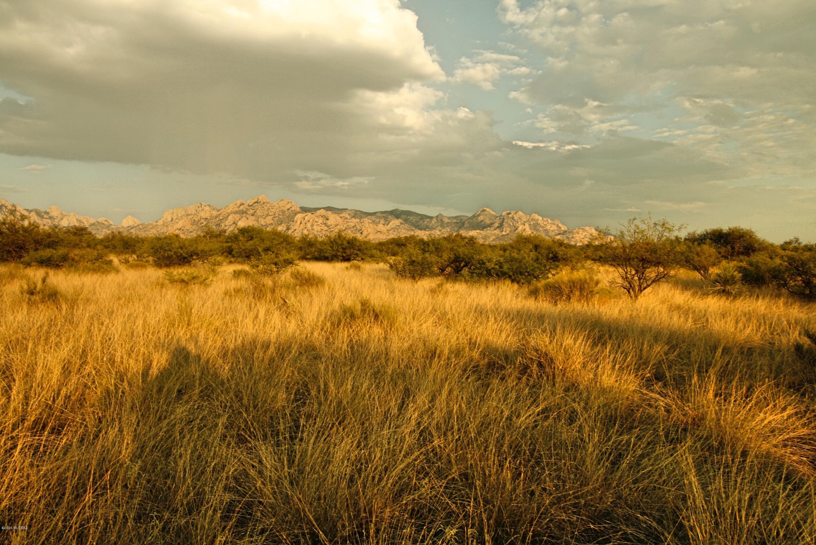Lot 16 North Dragoon Ranch Rd Street, Unit 16 St. David, AZ 85630 - Photo 16 of 25