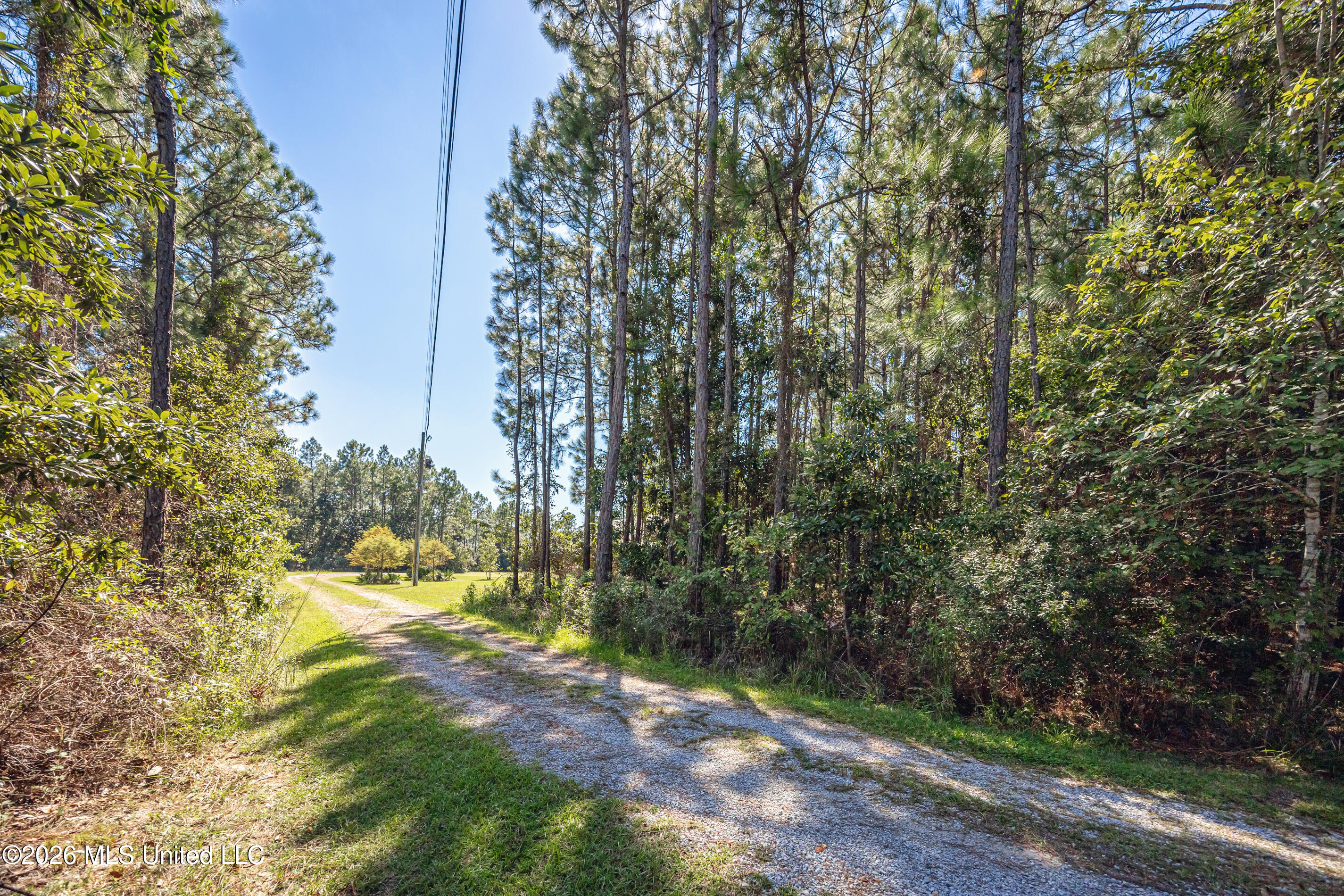 8699 Old CCC Camp Road Ocean Springs, MS 39564 - Photo 59 of 62 IMG_5865
