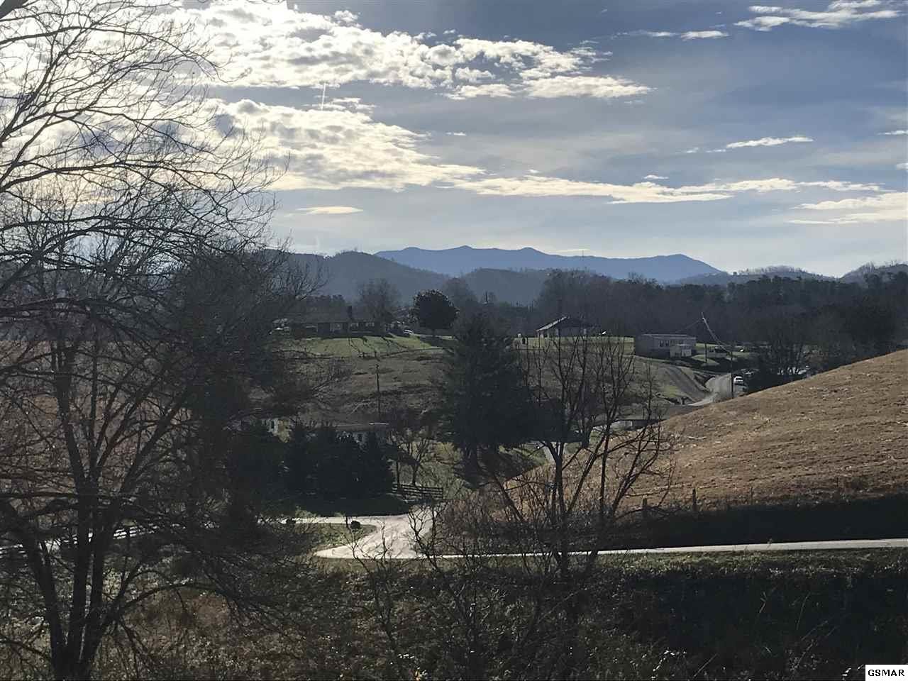 0 Tradition Lane Sevierville, TN 37862 - Photo 1 of 2