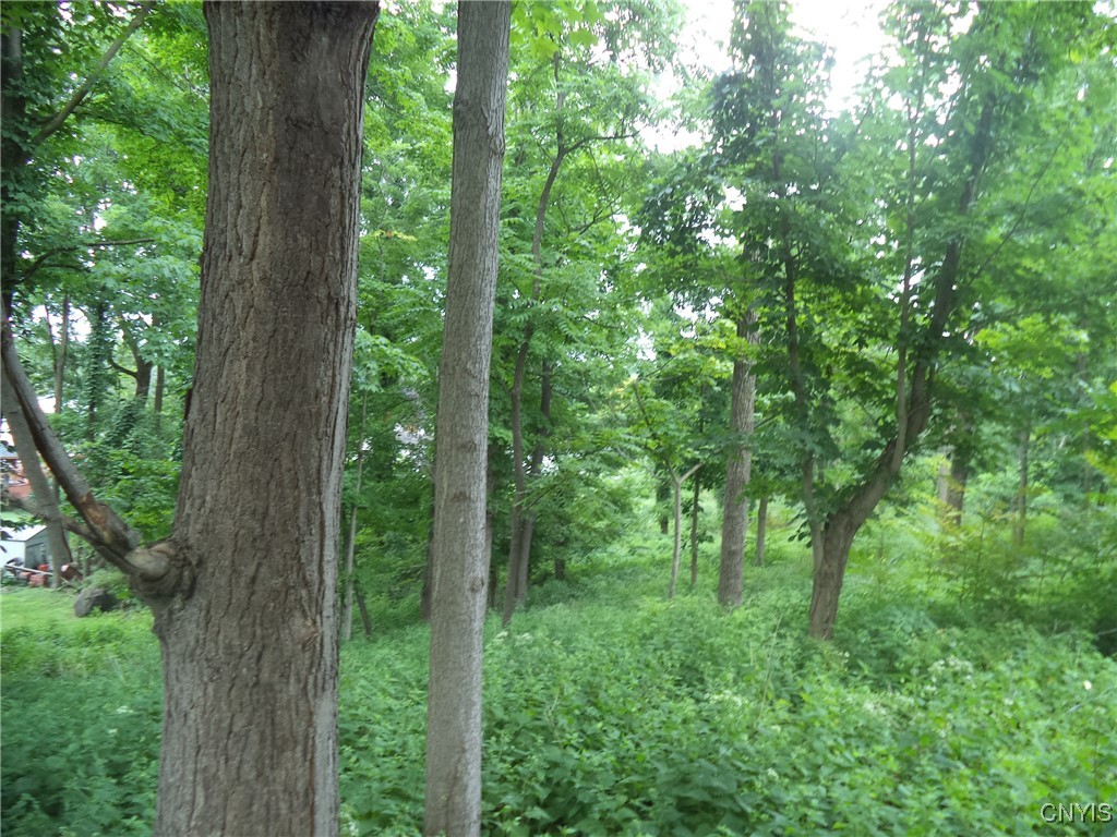 South Terry Road Syracuse, NY 13219 - Photo 2 of 4