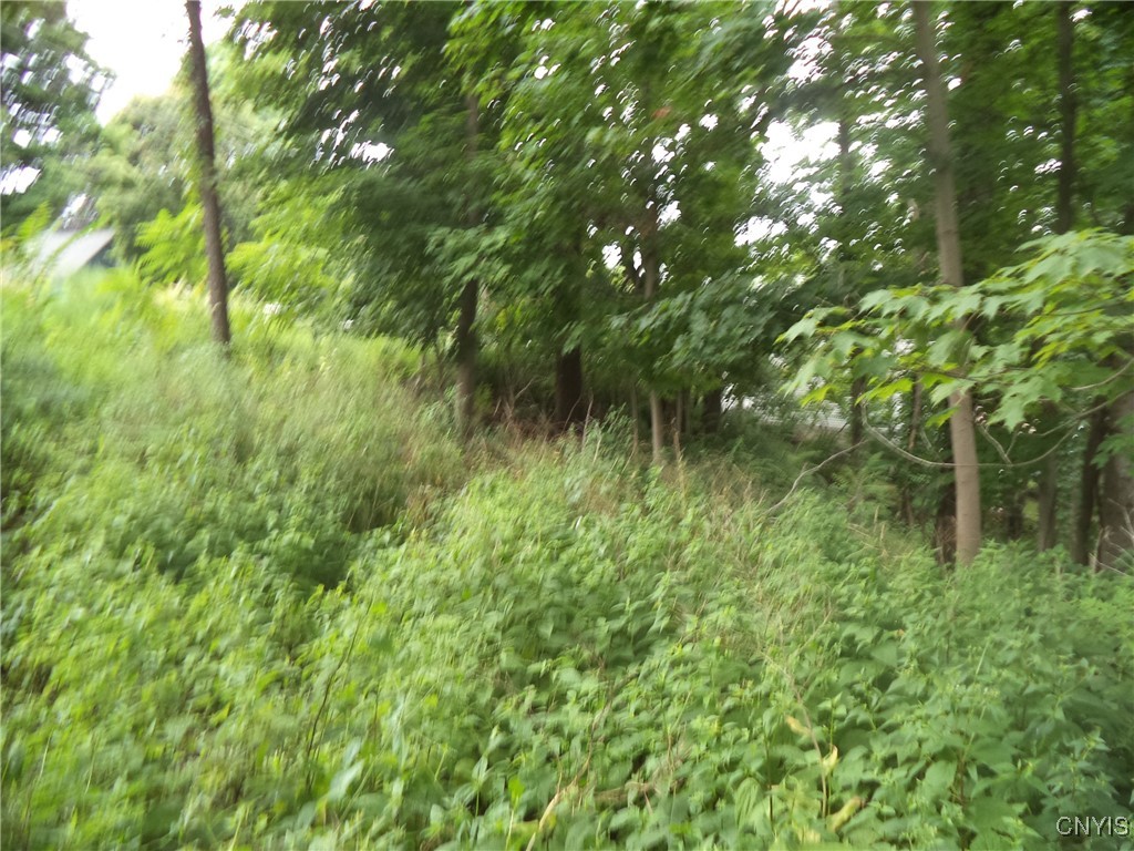 South Terry Road Syracuse, NY 13219 - Photo 3 of 4