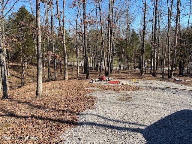 Lot 19-20 Washburn Road Clarkson, KY 42726 - Photo 1 of 10 W1