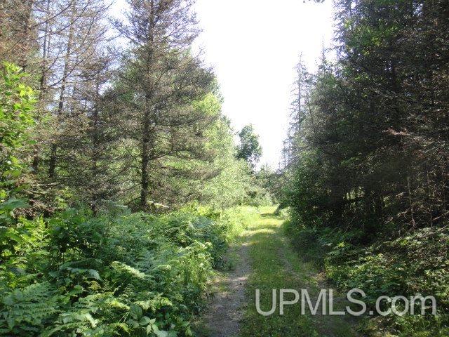 40-ac Uno Dam/ Ff3473 Road Iron River, MI 49935 - Photo 31 of 36