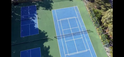 a view of a park with palm trees