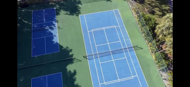 a view of a park with palm trees