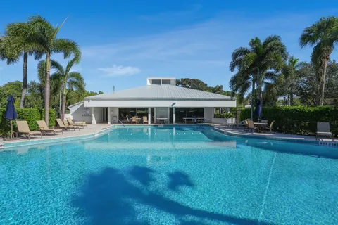 a view of a park with palm trees