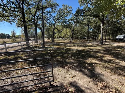 a park view with large trees