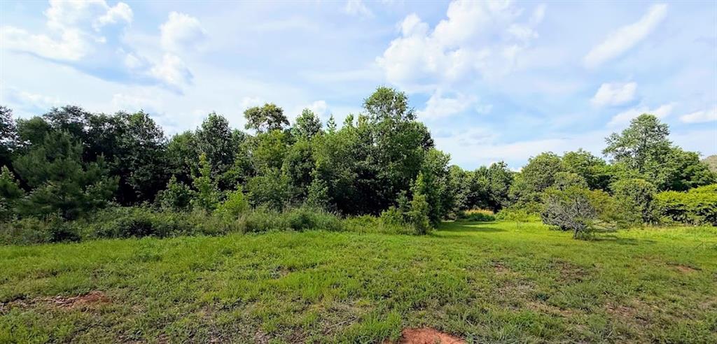 380 Nix Road Bremen, GA 30110 - Photo 6 of 14