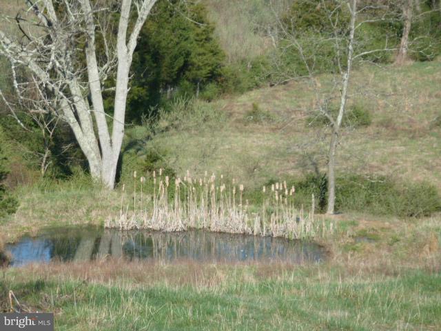 271 Fairview Road Gore, VA 22637 - Photo 29 of 29 a view of a lake view