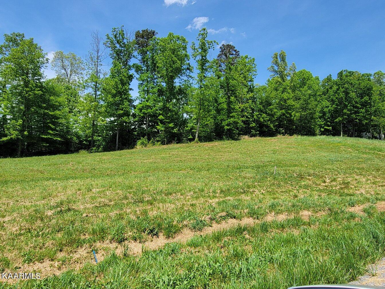 2924 Samples Road Louisville, TN 37777 - Photo 6 of 11 04