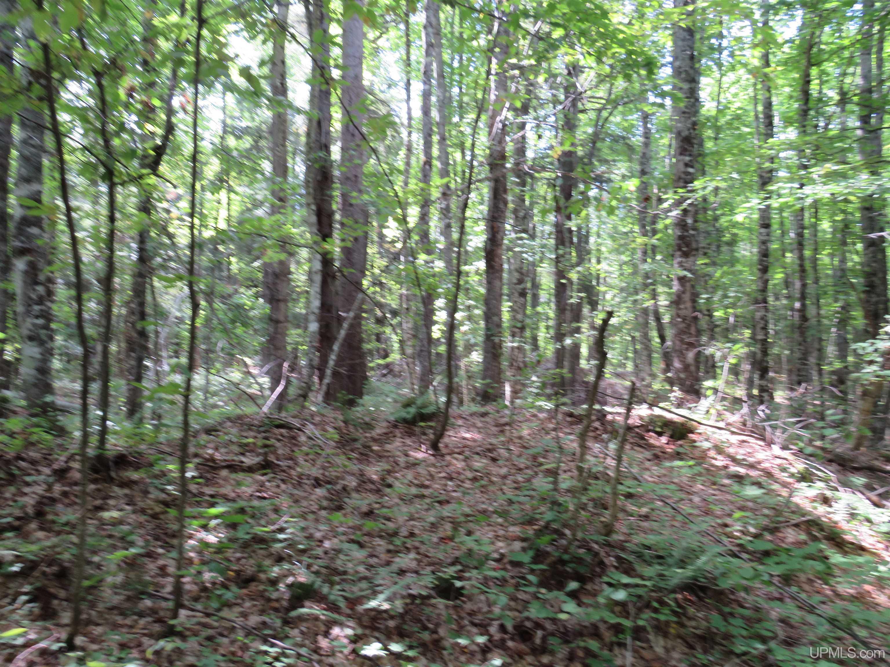 Tbd Black Creek Road Skanee, MI 49962 - Photo 6 of 14