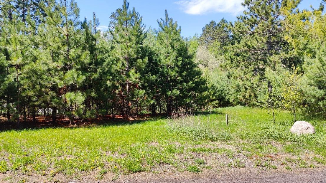 88034 Sweet Fern Loop Tower, MN 55790 - Photo 28 of 31