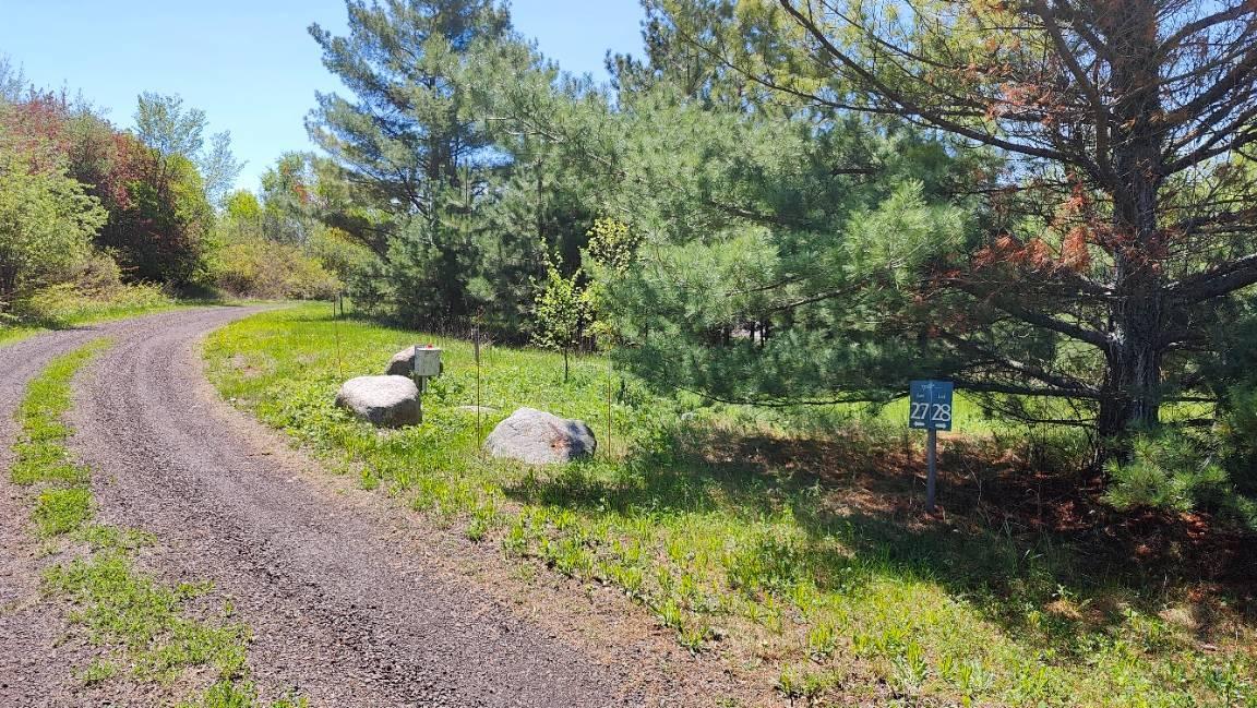 88034 Sweet Fern Loop Tower, MN 55790 - Photo 29 of 31