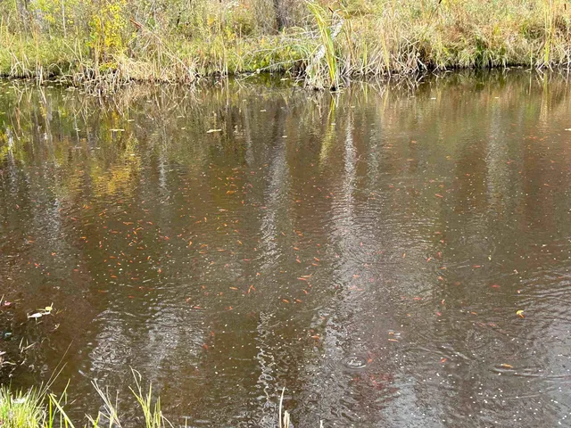 $2,600 | 293 Bear Hill Road, Unit 1, Loudon, NH 03307