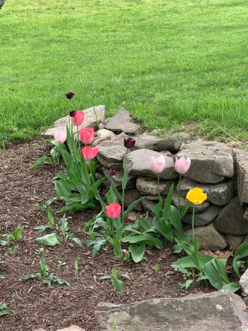 $2,600 | 293 Bear Hill Road, Unit 1, Loudon, NH 03307