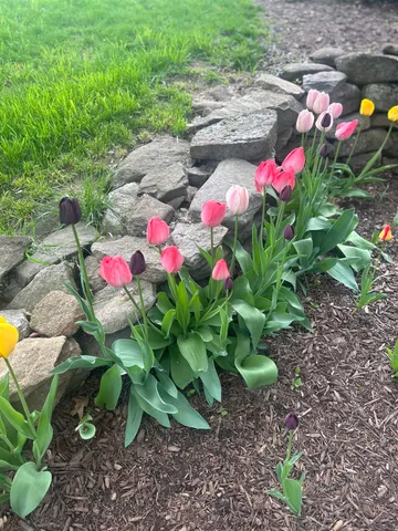 $2,600 | 293 Bear Hill Road, Unit 1, Loudon, NH 03307