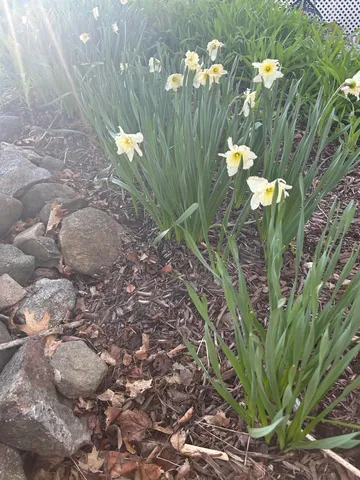 $2,600 | 293 Bear Hill Road, Unit 1, Loudon, NH 03307