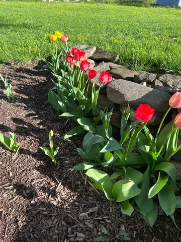 $2,600 | 293 Bear Hill Road, Unit 1, Loudon, NH 03307