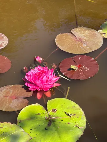 $2,600 | 293 Bear Hill Road, Unit 1, Loudon, NH 03307