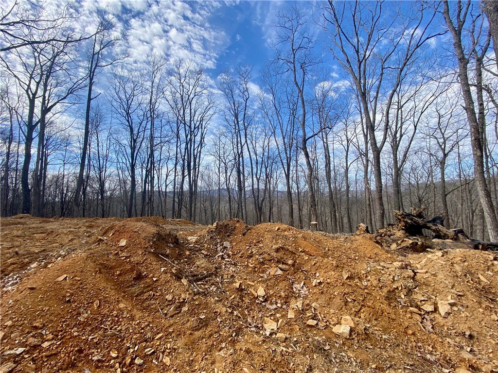 Old Chestnut Mountain Road Newland, NC 28657 - Photo 22 of 33
