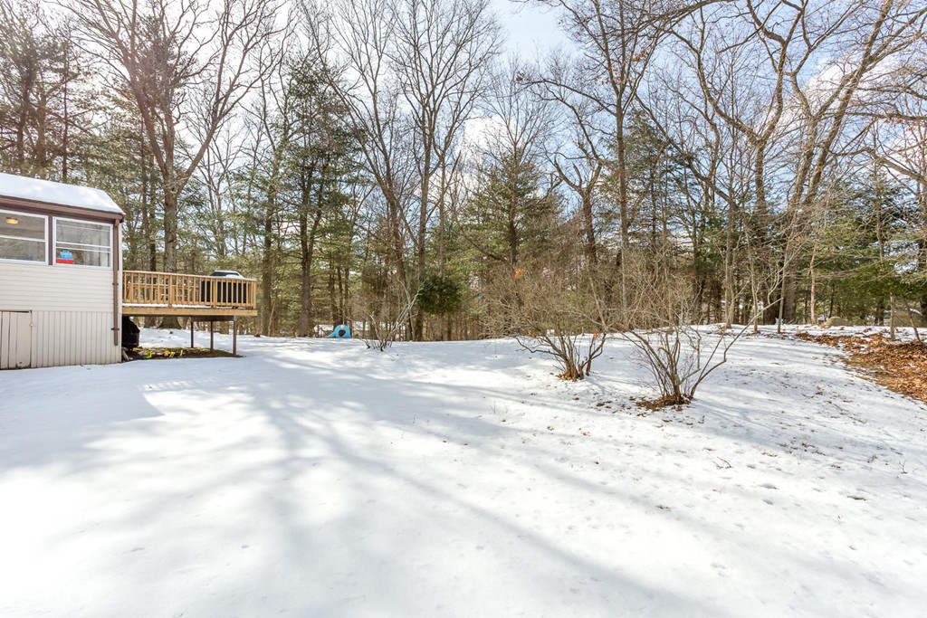 7 Hampton Road Sharon, MA 02067 - Photo 17 of 18 a view of outdoor space with trees