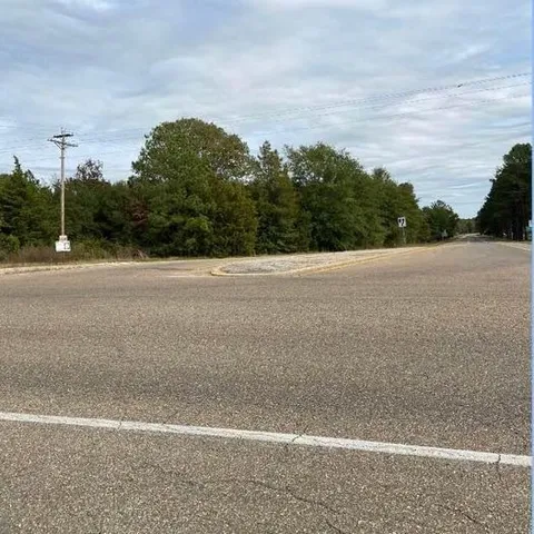 a view of a big yard