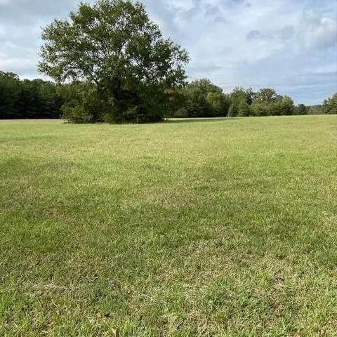 a view of a field with an ocean