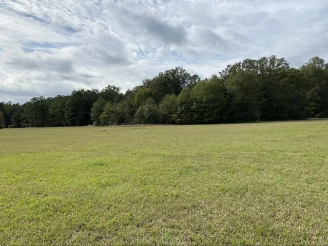 a view of outdoor space with swimming pool and trees in the background