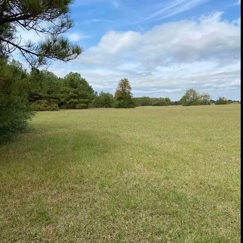 a view of an ocean from a yard