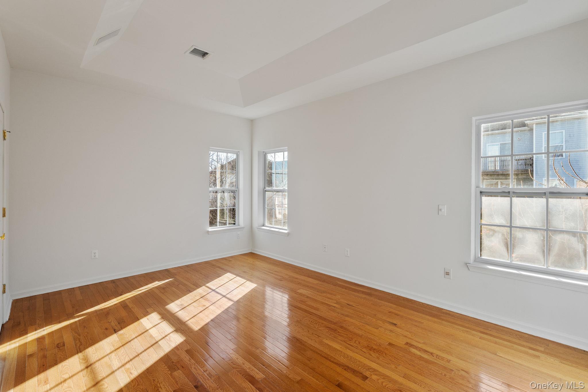 17 Carmella Road Highland, NY 12528 - Photo 26 of 48 Spare room featuring a raised ceiling and light wood-style floors
